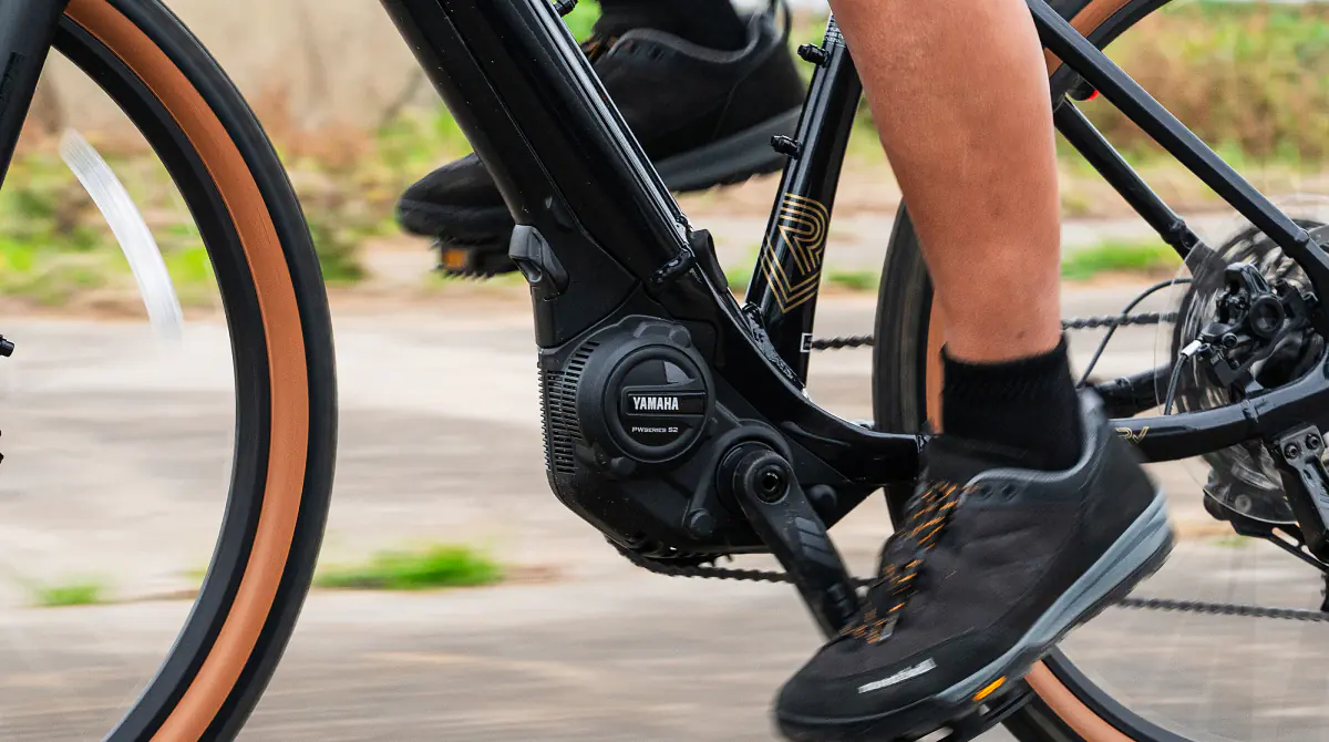 E3dd11eca6ce779bc7a29fae0d2b1570