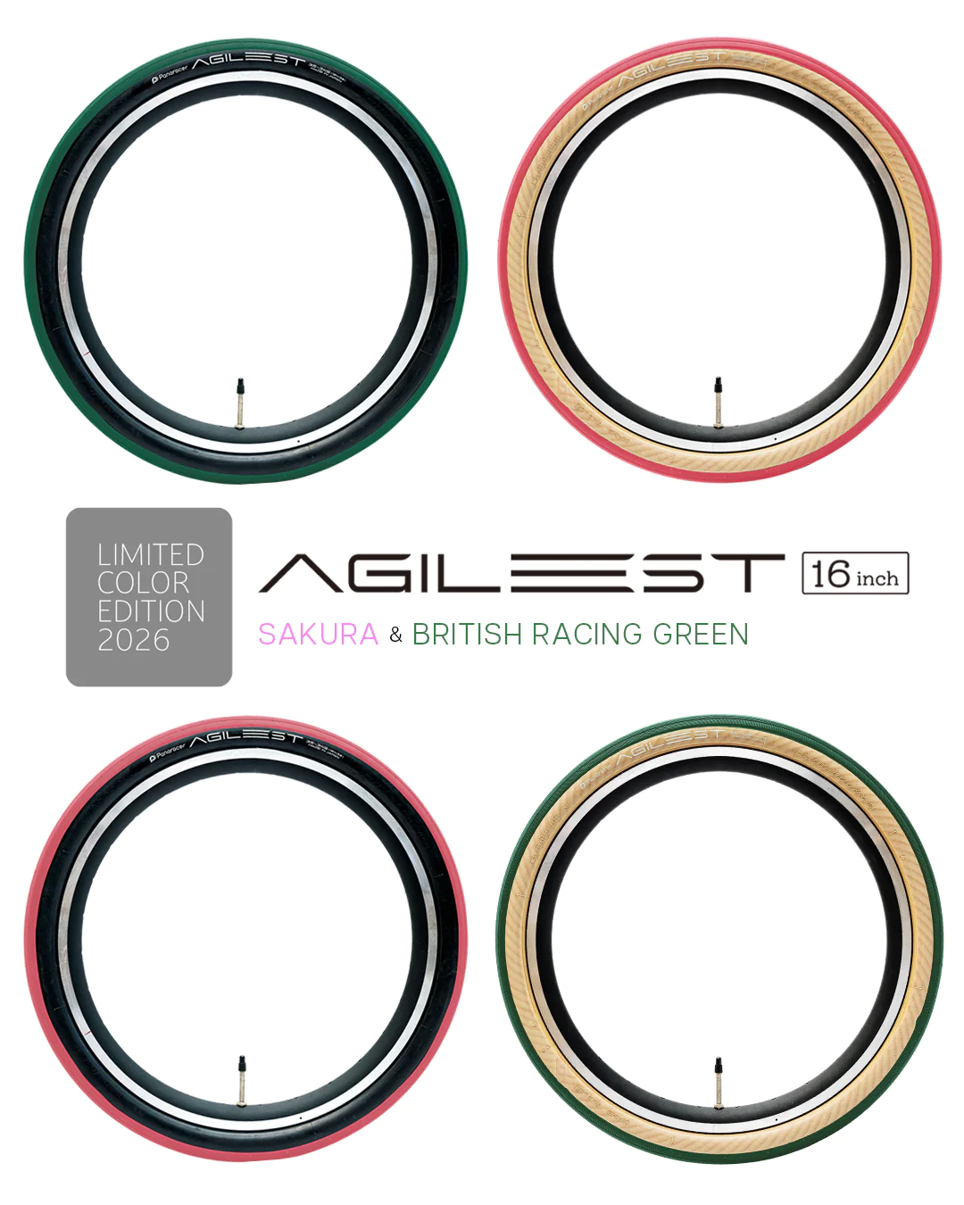 Sns Agilest16Color01 1