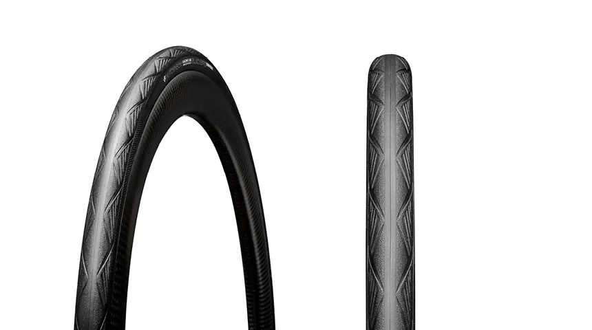 Th 5dfb569b7516e23cc97e64d193198b14 17412341652025BlackbirdAllSeason00