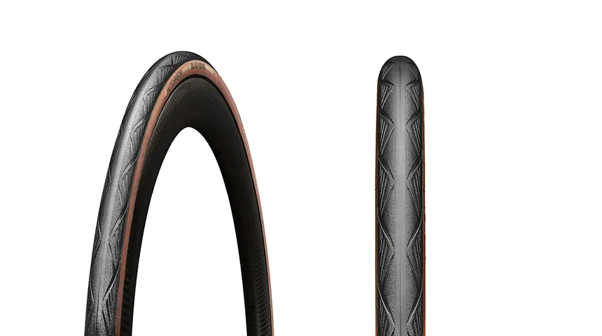 Th 5dfb569b7516e23cc97e64d193198b14 17412341902025BlackbirdAllSeason005