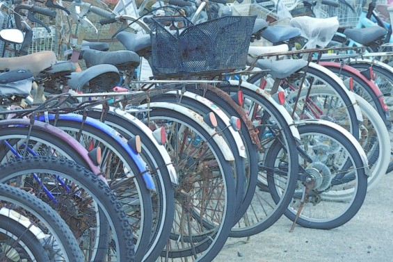 神戸 自転車 観光