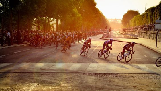 フランス開催 自転車レース 8月