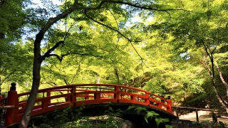 Thumbnail of post image 048