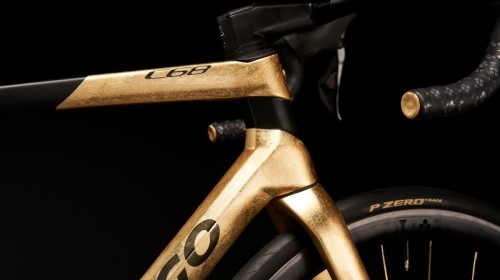 344863520_884119002658634_3946