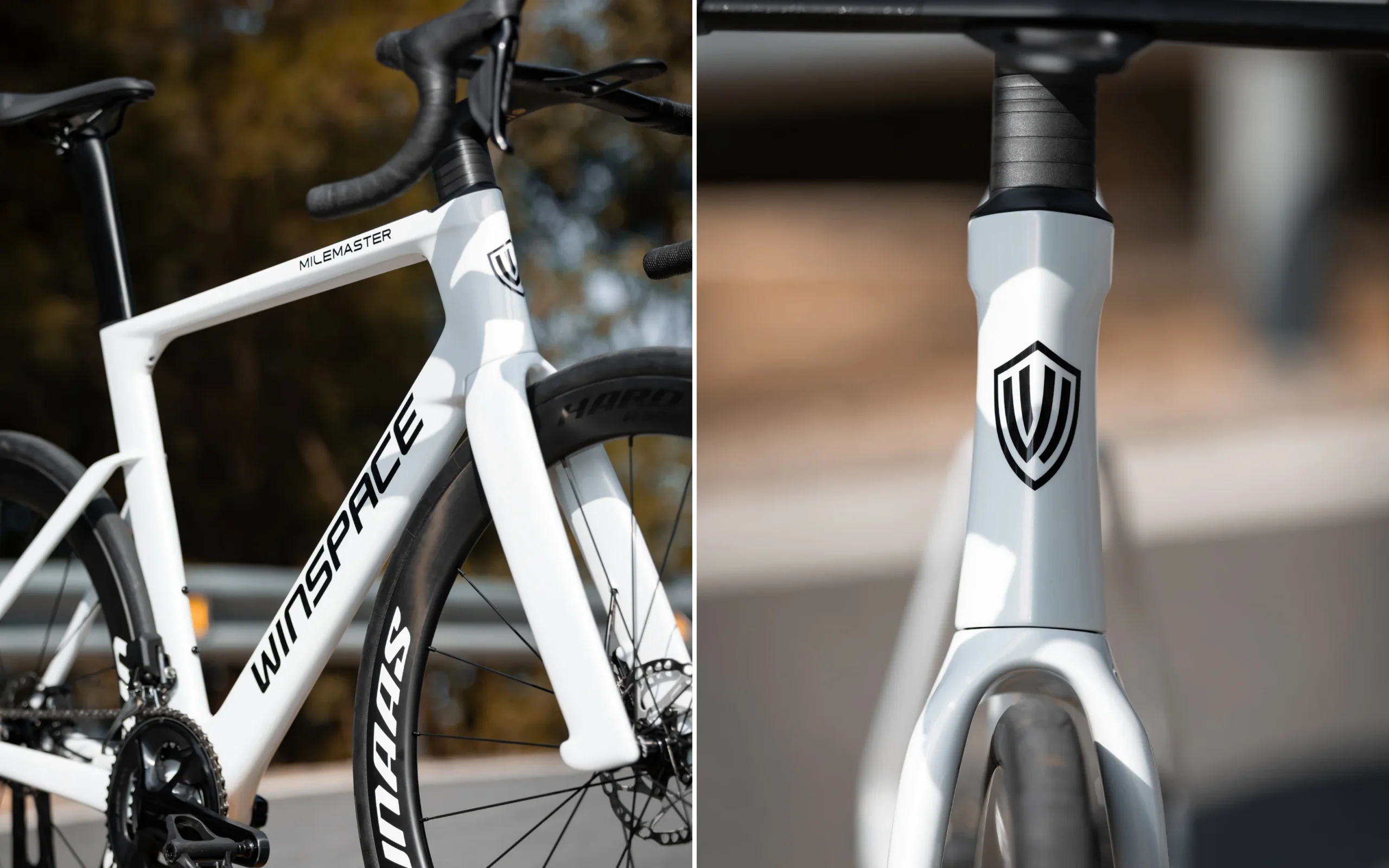 2 9a540391 D99c 48ec 81c6 3cd25983e991 Scaled