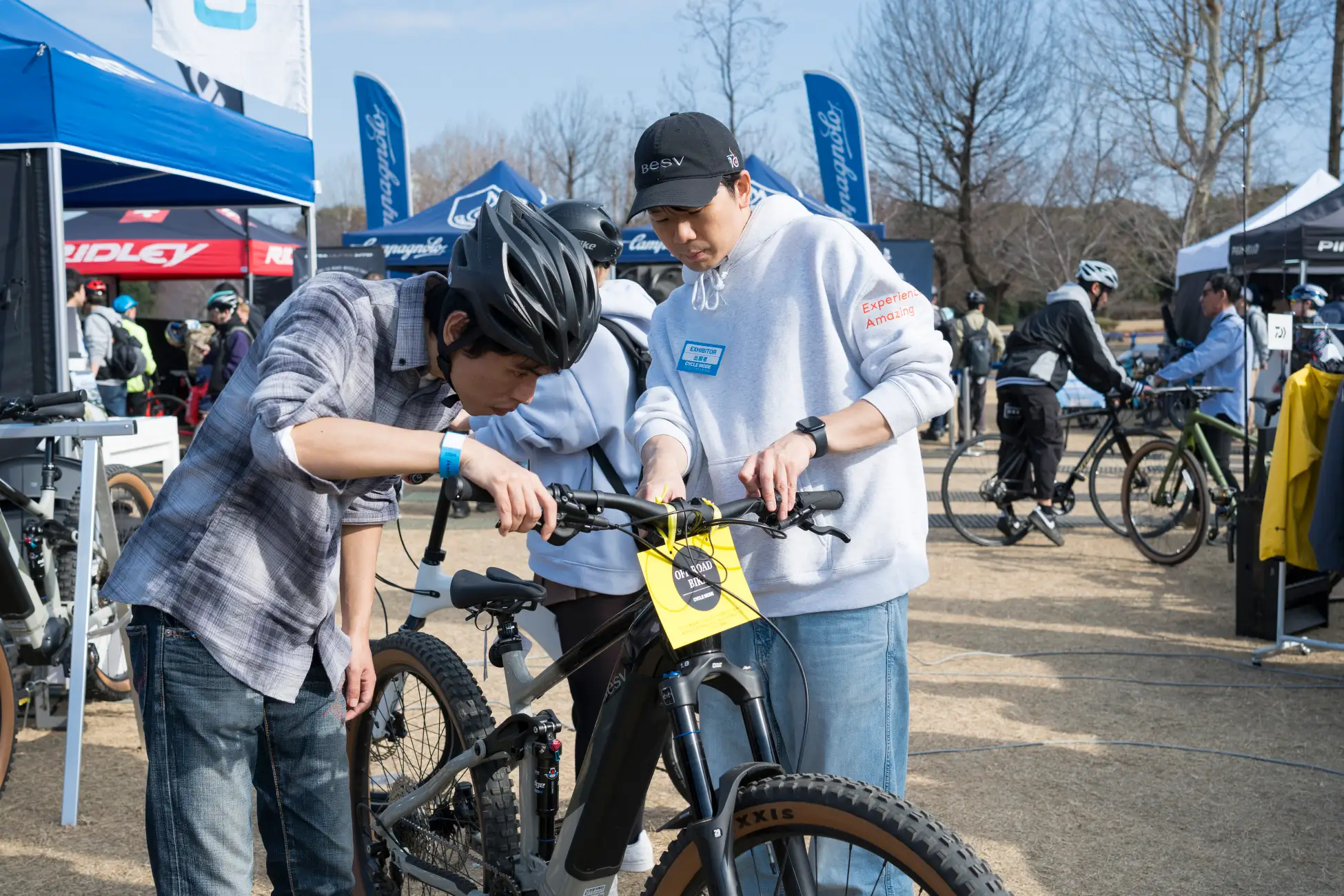 8071 55 2c2000648469304583557f86c49d6715 3900x2600 1