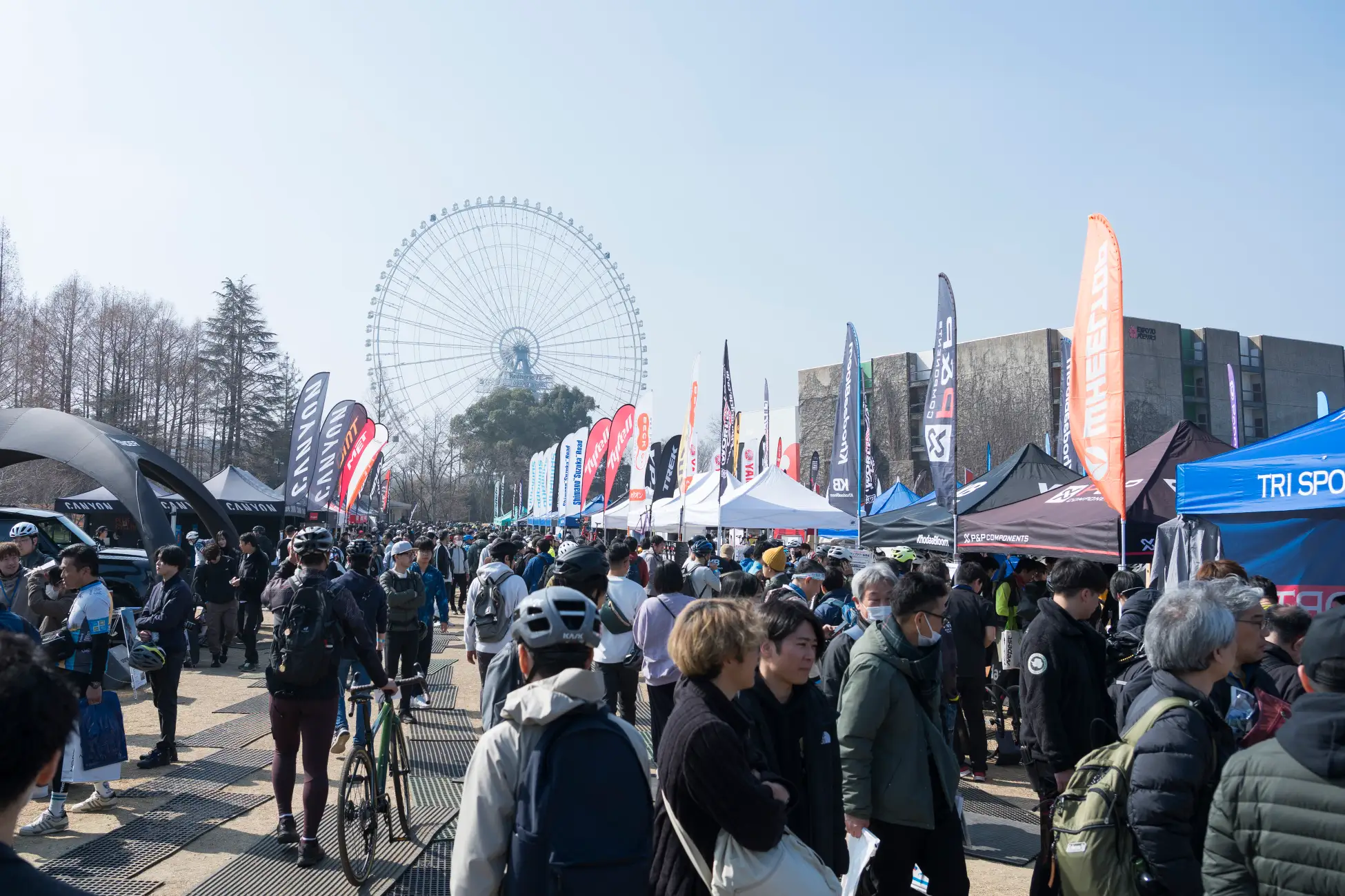 8071 55 5f5ac97ece17c9cb295e093e719f43c4 3900x2600 1