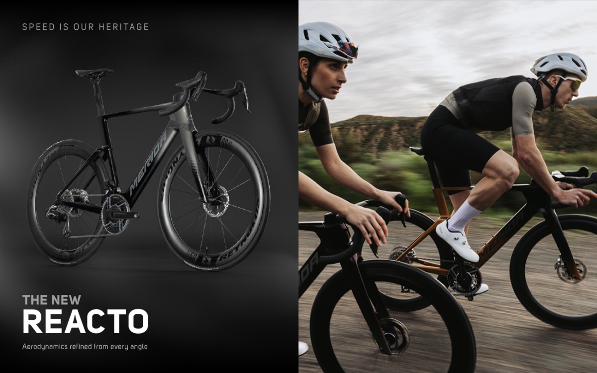 Reacto Ec E1772801625494